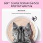 Schesir Complete and Balanced Wet Kitten Food Chicken in Mousse 70g