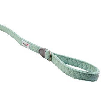 Doodlebone Dinky Dog Lead Mint 20mm