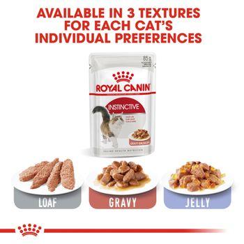 Royal Canin Instinctive Wet Cat Food in Gravy 48x85g