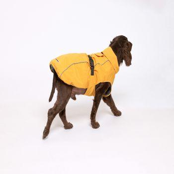 Rufus & Rosie Fleece Lined Mk2 Yellow Dog Jacket, S+