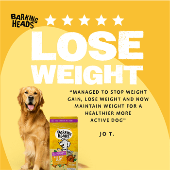 Barking Heads All Hounder Fat Dog Slim Chicken Dry Dog Food, 12kg