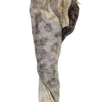 Jollyes Fish Stick Single Dog Treat
