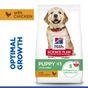 Hill's Science Plan Puppy Large Breed Dry Dog Food Chicken Flavour 12kg