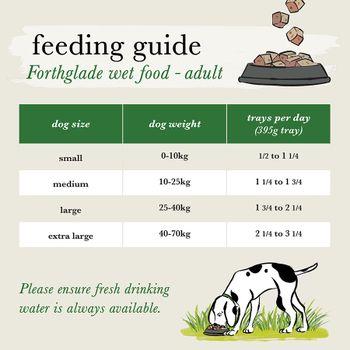 Forthglade Lamb & Turkey Complete Wet Adult Dog Food 12x395g