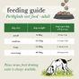 Forthglade Lamb & Turkey Complete Wet Adult Dog Food 12x395g