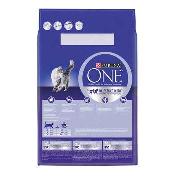 Purina one dry cat food 3kg best sale