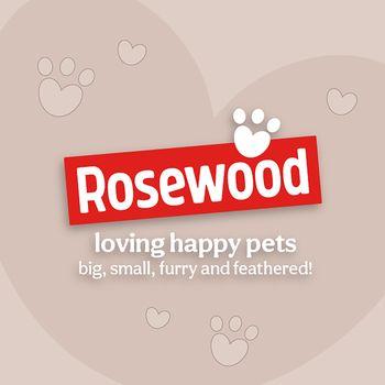 Rosewood Magic Dental Twist Dog Treat Medium 4 Pack 120g