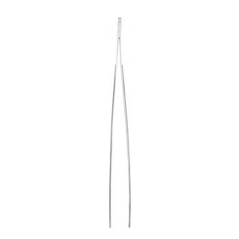 Zoo Med Stainless Steel Reptile Feeding Tongs, 10 Inches