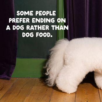 Edgard & Cooper Adult Dry Dog Food Salmon 2.5kg