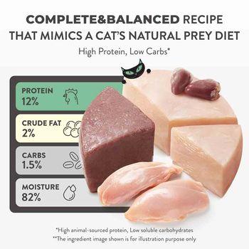 Schesir After Dark Complete Wet Cat Food Chicken in Fillets 80g