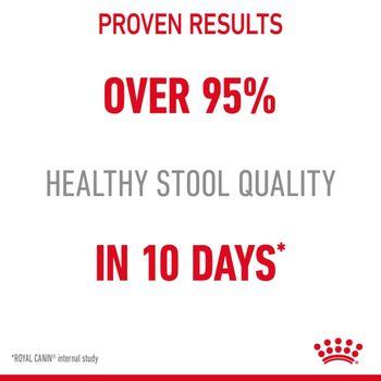 Royal Canin Digestive Care Wet Cat Food in Gravy 48x85g