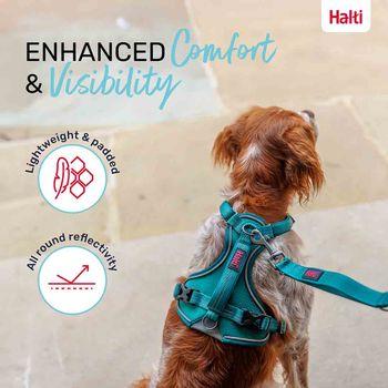 Halti Anatomy Dog Harness Teal Small