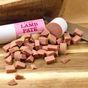 JR Pet Products Pure Lamb Pate 400g