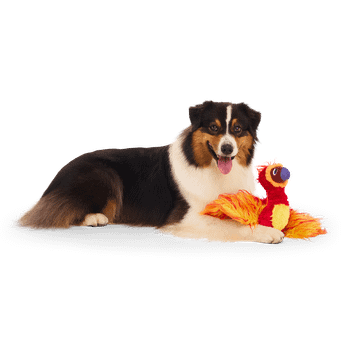 Bark Harry Potter Fawkes Dog Toy