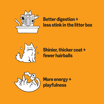 KatKin CLUCK Fresh Cat and Kitten Food (Chicken) 1x80g