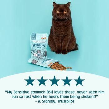 Scrumbles Krunchies Cat Dental Pillow Treats 60g