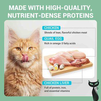 Schesir After Dark Complete Wet Cat Food Chicken & Quail Egg in Fillets 80g