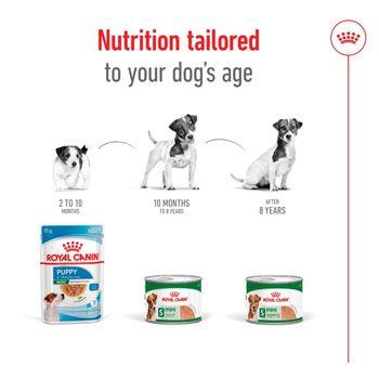 Royal Canin Mini Ageing 8+ Senior Wet Small Dog Food Cans In Loaf 195g