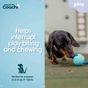 Coachi Puppy & Mini Tuggi Ball Dog Toy Teal & Mint