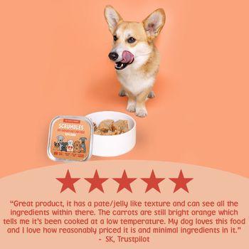 Scrumbles Grain Free Wet Dog Food Duck 150g