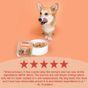 Scrumbles Grain Free Wet Dog Food Duck 150g