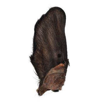 Jollyes Beef Ears With Hair, Single