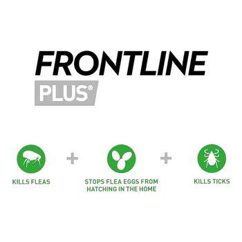 Frontline Plus Spot-On Flea & Tick Treatment for Medium Dogs 10-20kg, 3 pipettes