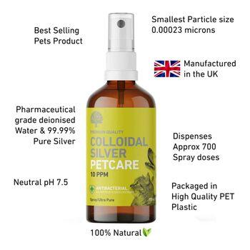 Natures Greatest Secret, Colloidal Silver Pump Spray, 100ml
