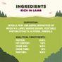 Adventuros Lamb Training Dog Treats 115g