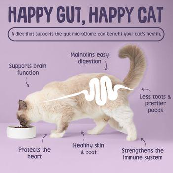 Scrumbles Dry Cat Food, Grain Free Sensitive+ 700g