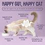 Scrumbles Dry Cat Food, Grain Free Sensitive+ 700g