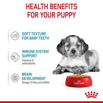 Royal Canin Puppy Medium Breed in Gravy Multipack 48x85g