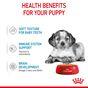 Royal Canin Puppy Medium Breed in Gravy Multipack 48x85g