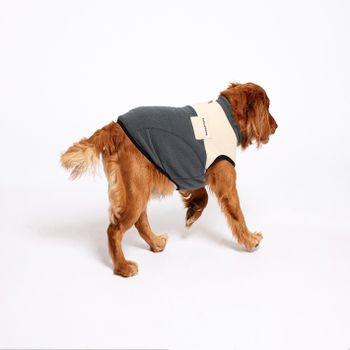 Rufus & Rosie Beige & Grey Explorer Dog Gilet, M+