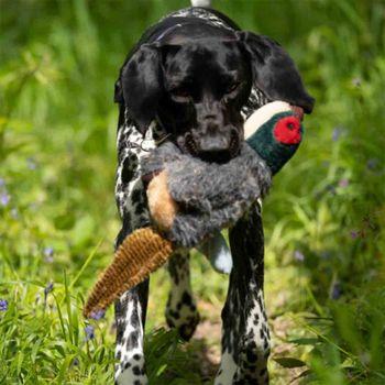 Squeaky Pheasant Plush Dog Toy