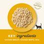 Applaws Cat Food Chicken Breast in Broth 70g