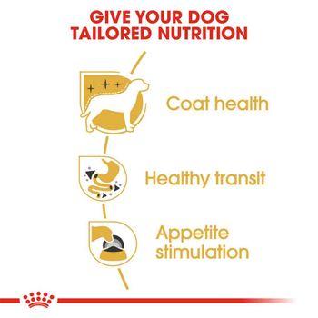 Royal Canin Wet Dog Food Wet Chihuahua, 12x85g