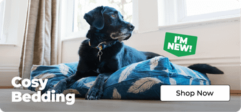 Mobile Banner