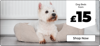 Mobile Banner