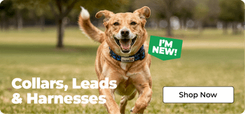 Mobile Banner