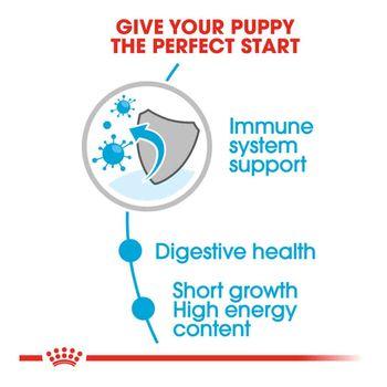 Royal Canin Wet Dog Food Medium Puppy in Gravy 140g