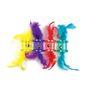 Tabby Patch Feather Rattle Cat Toy