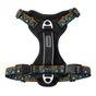 Neerdog Go-B-Bold Airflow Dog Harness-Hollyhock Medium