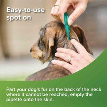 Beaphar VETOpure Plant-Based Protection Flea Spot-On for Dogs under 15 kg, 3 Pipettes