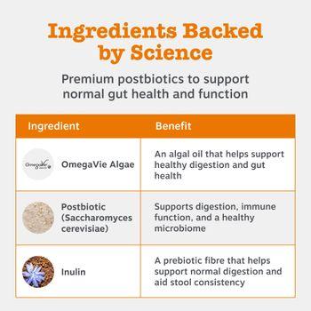 Zesty Paws Digestion & Prebiotics Paste for Cats 120g