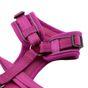 Doodlebone Trendy Tails Stomp Dog Harness Purple 3-5