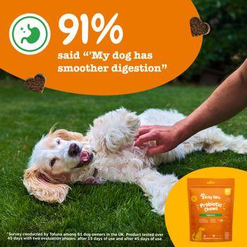 Zesty Paws Probiotic Chews for Dogs 210g
