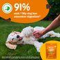 Zesty Paws Probiotic Chews for Dogs 210g