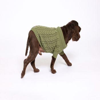 Rufus & Rosie Green Cable Knit Jumper, L
