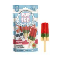 Pup Ice Rocket Lolly Watermelon Dog Treat 2 Pack 90g
